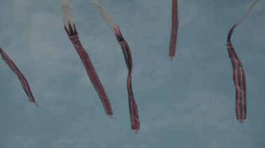 Balinese Traditional Kites JANGGAN (Red White Black Long Tail Bird Dragon) on Bali Kite Festival Summer Blue Sky Slow Motion
