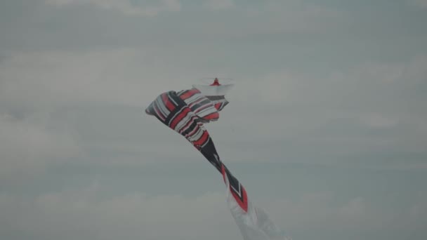 Balinese Traditional Kites Janggan Red White Black Long Tail Bird — Vídeo de Stock