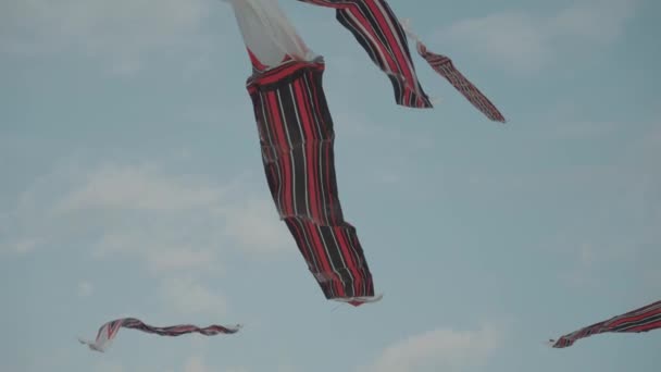 Balinese Traditional Kites Janggan Red White Black Long Tail Bird — Vídeo de Stock