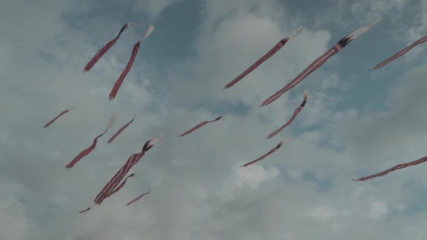 Balinese Traditional Kites Janggan Red White Black Long Tail Bird — Wideo stockowe