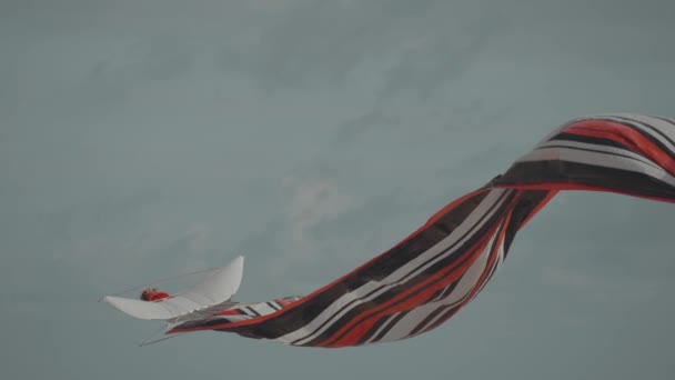 Balinese Traditional Kites Janggan Red White Black Long Tail Bird — Stockvideo