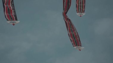 Balinese Traditional Kites JANGGAN (Red White Black Long Tail Bird Dragon) on Bali Kite Festival Summer Blue Sky Slow Motion