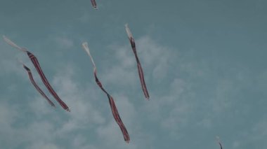 Balinese Traditional Kites JANGGAN (Red White Black Long Tail Bird Dragon) on Bali Kite Festival Summer Blue Sky Slow Motion