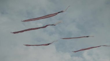 Balinese Traditional Kites JANGGAN (Red White Black Long Tail Bird Dragon) on Bali Kite Festival Summer Blue Sky Slow Motion