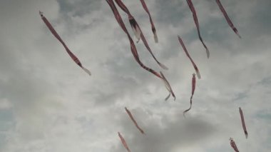 Balinese Traditional Kites JANGGAN (Red White Black Long Tail Bird Dragon) on Bali Kite Festival Summer Blue Sky Slow Motion