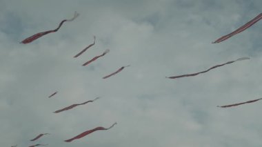 Balinese Traditional Kites JANGGAN (Red White Black Long Tail Bird Dragon) on Bali Kite Festival Summer Blue Sky Slow Motion