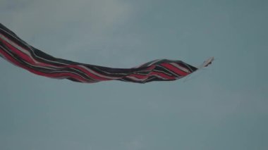 Balinese Traditional Kites JANGGAN (Red White Black Long Tail Bird Dragon) on Bali Kite Festival Summer Blue Sky Slow Motion
