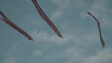 Balinese Traditional Kites JANGGAN (Red White Black Long Tail Bird Dragon) on Bali Kite Festival Summer Blue Sky Slow Motion