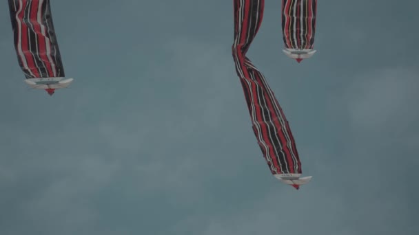 Balinese Traditional Kites Janggan Red White Black Long Tail Bird — Vídeo de Stock
