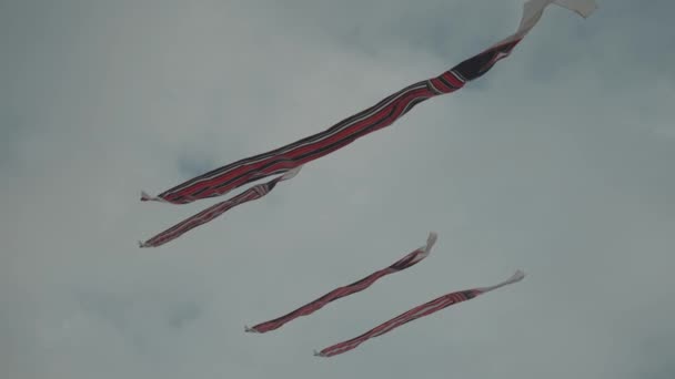 Balinese Traditional Kites Janggan Red White Black Long Tail Bird — Stockvideo