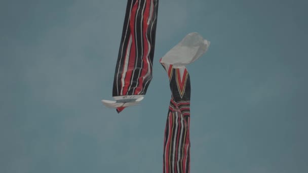 Balinese Traditional Kites Janggan Red White Black Long Tail Bird — Stock Video
