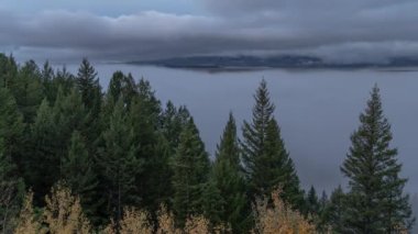 Grand Teton Ulusal Parkı, Wyoming Sabah Sis Denizi 'nde Yılan Nehri' nin Hızı