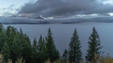 Grand Teton Ulusal Parkı, Wyoming Sabah Sis Denizi 'nde Yılan Nehri' nin Hızı