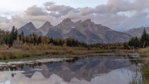 Zeitraffer Des Schwabacher Landing Snake River Grand Teton National Park — Stockvideo