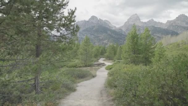 Hiking Taggart Lake Trail Beautiful Trees Grand Teton Peaks Towering — Stock Video