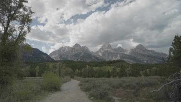 Vandring Taggart Lake Trail Vackra Träd Och Grand Teton Toppar — Stockvideo