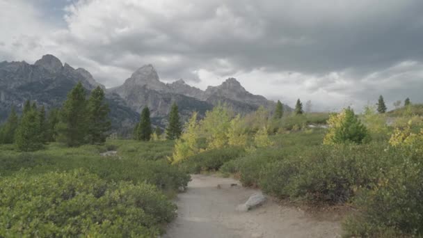 Piesze Wycieczki Taggart Lake Trail Piękne Drzewa Grand Teton Szczyty — Wideo stockowe