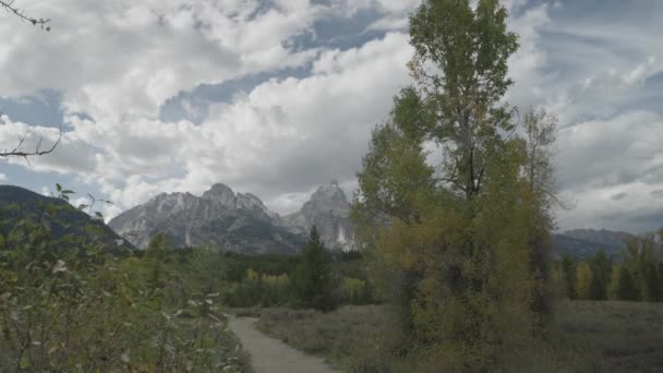 Piesze Wycieczki Taggart Lake Trail Piękne Drzewa Grand Teton Szczyty — Wideo stockowe