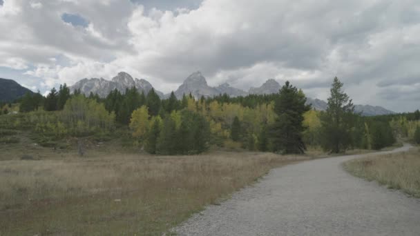 Túrázás Taggart Lake Trail Gyönyörű Fák Grand Teton Csúcsok Towering — Stock videók