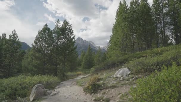 Wandelen Taggart Lake Trail Prachtige Bomen Grand Teton Pieken Torenhoge — Stockvideo