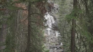 Gizli Şelale, Grand Teton Ulusal Parkı Wyoming 'de 30 metre Şelale Şelalesi