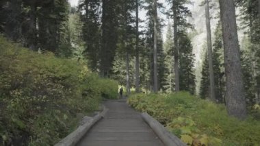 Ormanda yürüyüş Jenny göl yolu, ağaçlar ve dağlar Grand Teton Ulusal Parkı Wyoming 'de