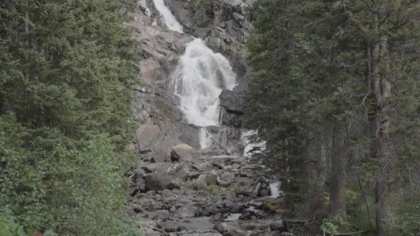 Приховані Водоспади Водоспад Заввишки 100 Футів Національному Парку Гранд Титон — стокове відео