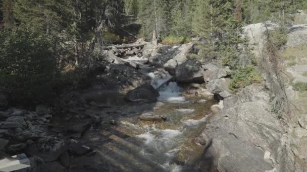 Zoet Schoon Water Beek Van Rivier Het Bos — Stockvideo