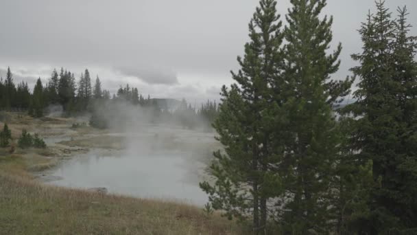 Sentier West Thumb Geyser Basin Dans Parc National Supervolcan Yellowstone — Video