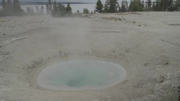 West Thumb Geyser Basin Trail Supervulkaan Yellowstone National Park Wyoming — Stockvideo