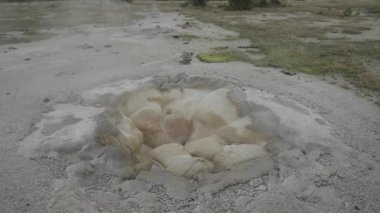 Süpervolkan Yellowstone Ulusal Parkı Wyoming 'deki Bisküvi Havzası Gayzer Aktif Hidrotermal Alanı