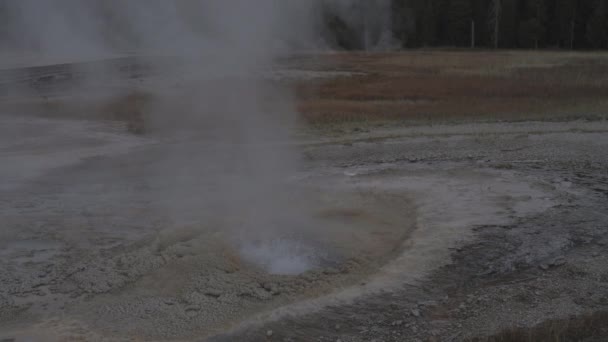 Oberes Geysirbecken Des Supervulkans Yellowstone National Park Wyoming — Stockvideo