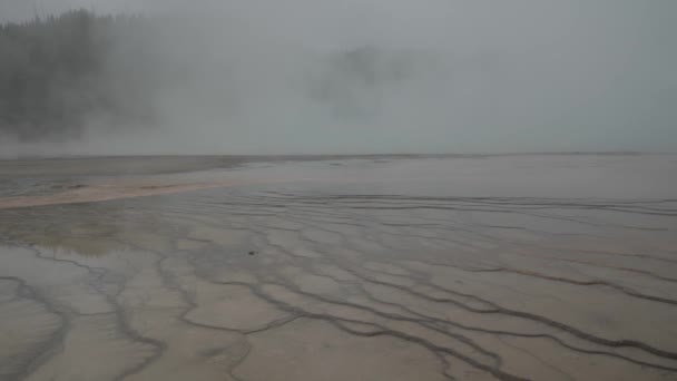 Grand Prismatic Spring Yellowstone National Park Wyoming Größte Heiße Quelle — Stockvideo