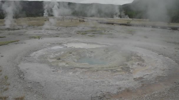 Bacia Biscoito Geyser Área Hidrotermal Ativa Parque Nacional Supervulcão Yellowstone — Vídeo de Stock