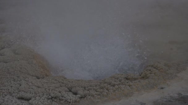 スーパー火山イエローストーン国立公園ワイオミング州のアッパーガイザー盆地 — ストック動画
