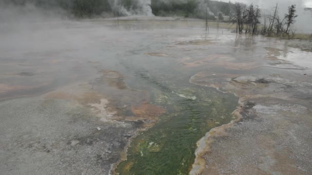 Biscuit Basin Geyser Active Hydrothermal Area Supervulcano Yellowstone National Park — Stockvideo