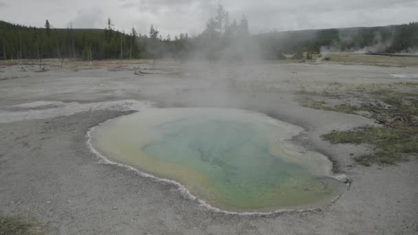 Biscuit Basin Geyser Active Hydrothermal Area Supervolcano Yellowstone National Park — Stock Video