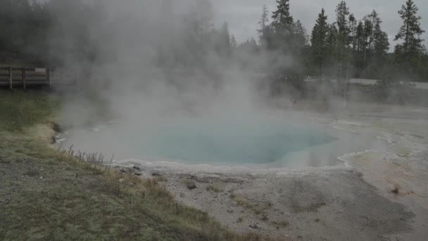 Fuente Paint Pot Trail Aguas Termales Géiser Parque Nacional Supervolcán — Vídeo de stock