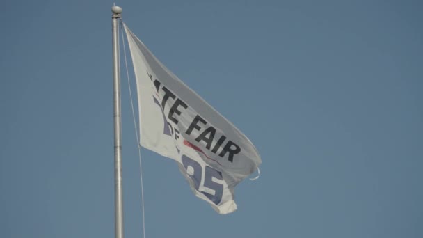 テキサス州ダラス 2022年10月14日 テキサス州風になびく旗の州祭 — ストック動画