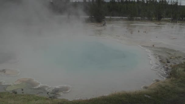 Fontana Vernice Pot Trail Hot Springs Geyser Supervulcano Yellowstone National — Video Stock