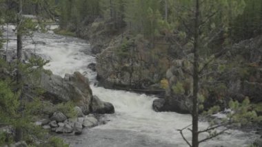 Yellowstone Ulusal Parkı 'ndaki Firehole Falls Şelalesi Wyoming Yavaş Hareketi