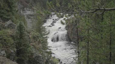 Yellowstone Ulusal Parkı 'nda Firehole Falls Şelalesi Wyoming Yavaş Hareketi