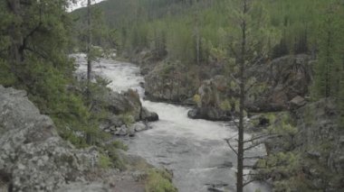 Yellowstone Ulusal Parkı 'ndaki Firehole Falls Şelalesi Wyoming Yavaş Hareketi