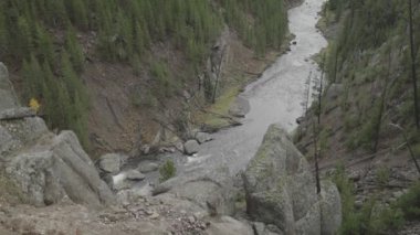 Yellowstone Ulusal Parkı Wyoming 'deki Gibbon ve Firehole Nehri