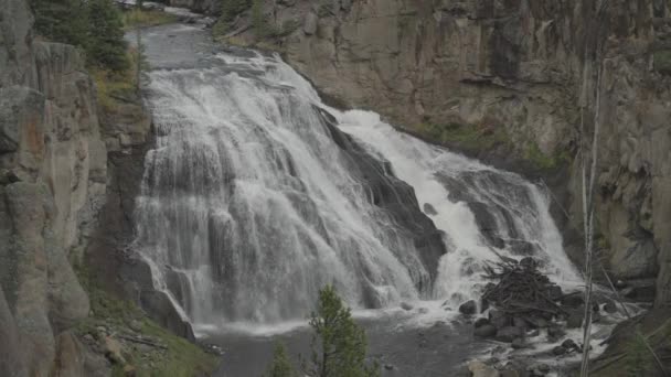 Gibbon Falls Waterfall Yellowstone National Park Wyoming Slow Motion — Stock Video