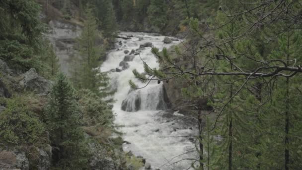 Firehole Falls Vattenfall Yellowstone National Park Wyoming Slow Motion — Stockvideo