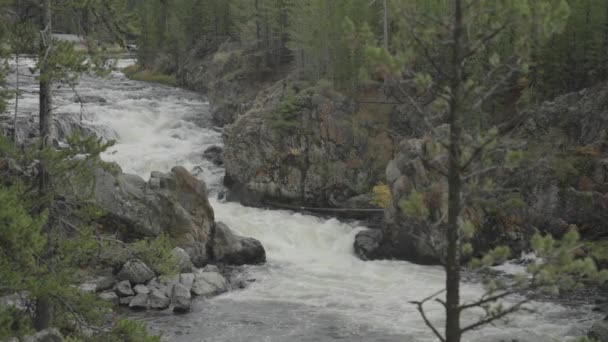 Firehole Falls Cascades Καταρράκτης Στο Yellowstone Εθνικό Πάρκο Wyoming Αργή — Αρχείο Βίντεο