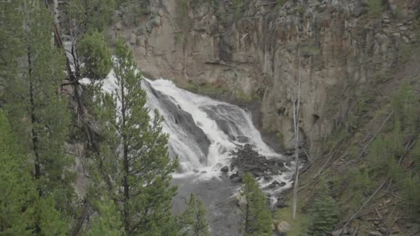 Chute Eau Gibbon Falls Dans Parc National Yellowstone Wyoming Slow — Video