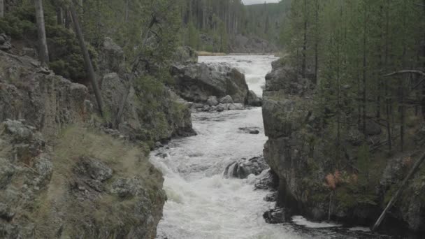 Firehole Falls Cascades Καταρράκτης Στο Yellowstone Εθνικό Πάρκο Wyoming Αργή — Αρχείο Βίντεο