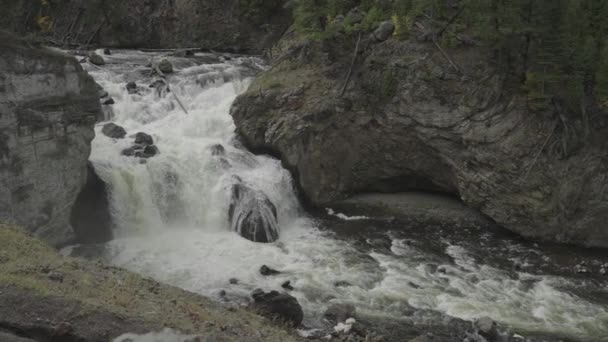 Καταρράκτες Firehole Falls Yellowstone Εθνικό Πάρκο Wyoming Αργή Κίνηση — Αρχείο Βίντεο